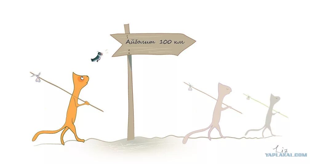 Кот бон бон из тайланда. Кот с узелком. Енот бандит. Коты александра антонюка. Кот с узелком.