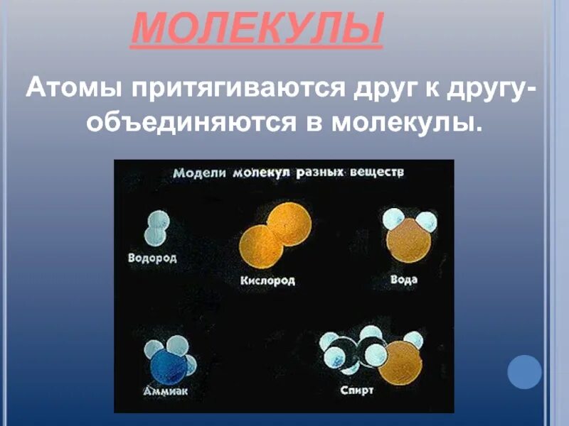 Перечислите свойства молекул