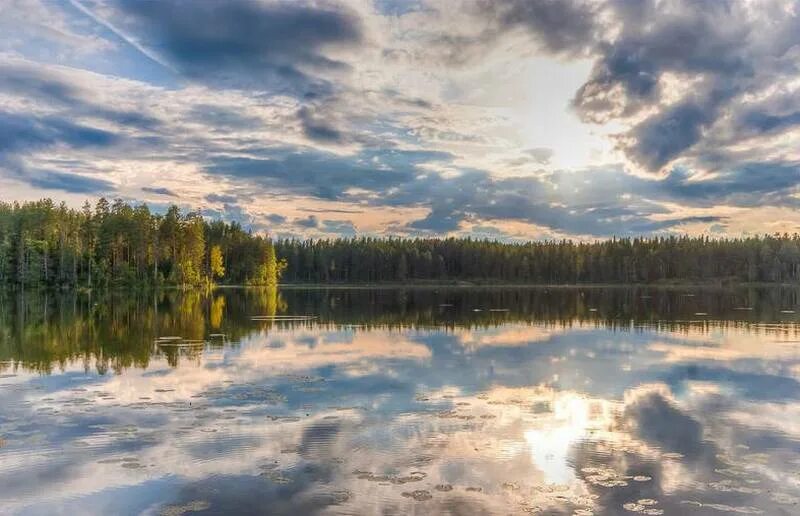 Озеро глубокое Рузский район. Озеро глубокое Московская область Рузский район. Озеро глубокое Ленинградская область. Тихвин озеро глубокое.