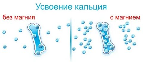 Витамин д вымывает кальций