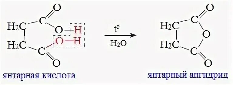 Янтарный ангидрид из янтарной кислоты. Реакция получения янтарного ангидрида. Образование ангидрида из янтарной кислоты. Янтарная кислота образование ангидрида.