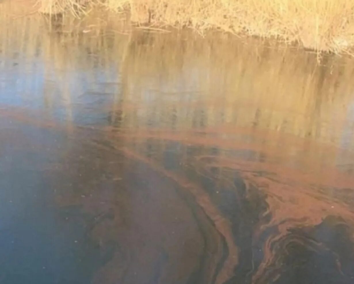 Вода в реке астрахань. Загрязнение воды в Астраханской области. Загрязнение воды Астрахань. Река солянка. Экологические проблемы Астраханской области.