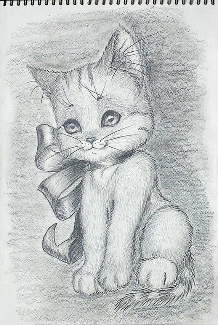 Картинки котики срисовать
