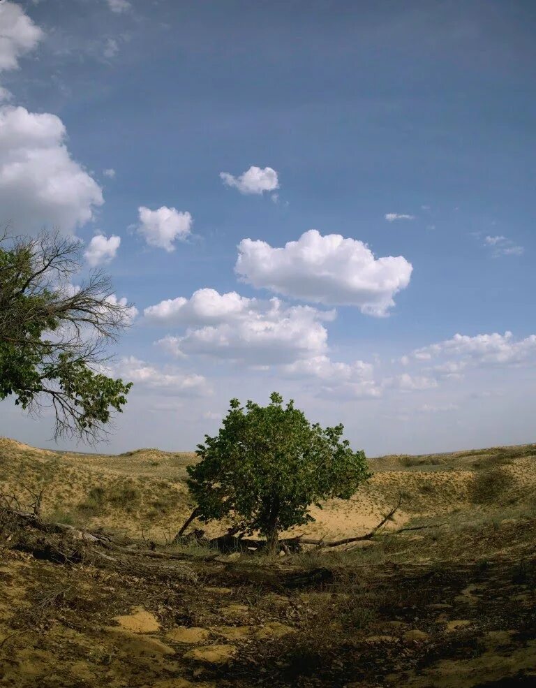 станица распопинская волгоградской области. прогноз погоды в клетской волгоградской. прогноз погоды в клетской волгоградской. завалинка клетская волгоградская область. волгоградская обл клетский район станица клетская.