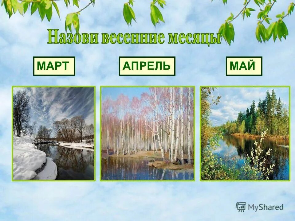 Конкурс апрель май