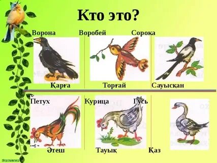 Воробей ворона заяц корова