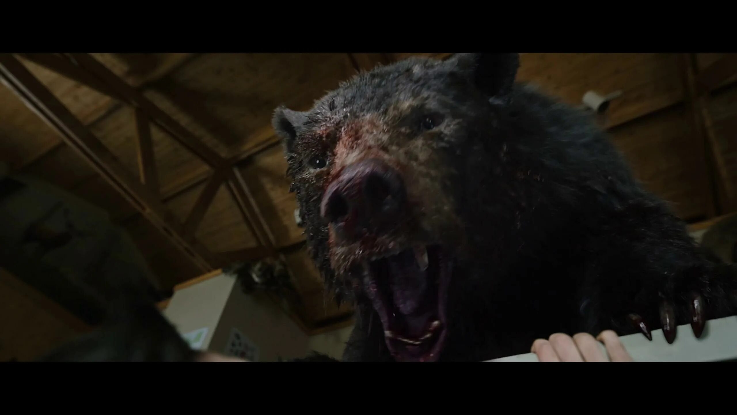 Я медведь 2023. Кокаиновый медведь постер. Кокаиновый медведь фильм. Я медведь 2023. Я медведь 2023.