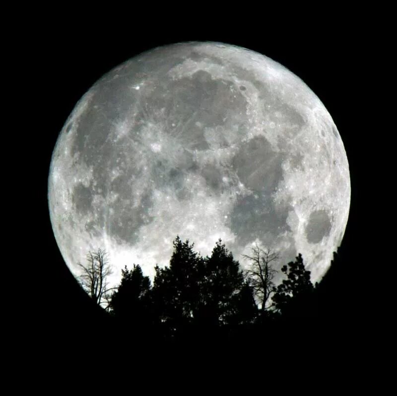 Картинки moon. Луна. Изображение Луны. Фото Луны. Красивая Луна.