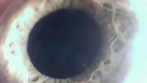 Выходной зрачок