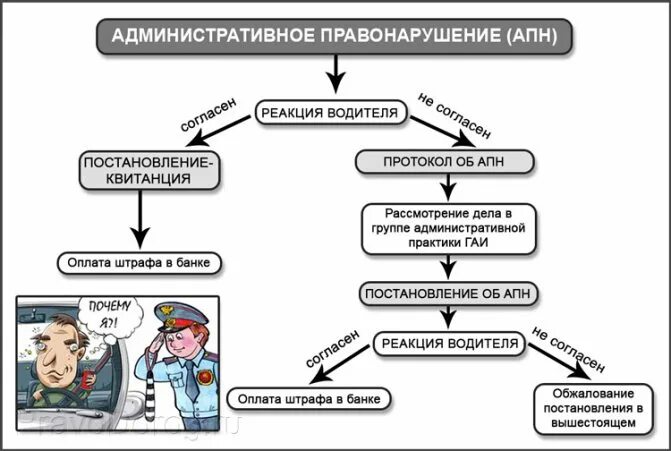 Чем отличается протокол. Разница между протоколом и постановлением. Протокол и постановление. Отличие протокола от постановления. Постановление и протокол разница.