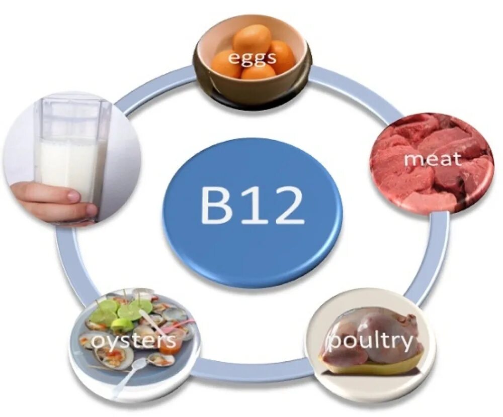 Источник b6. Пищевые источники витамина в12. Витамин б12 источники витамина. Источник цианокобаламин витамин в12. Витамин b12 продукты.