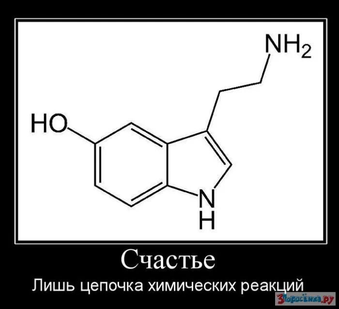 Гормоны счастья аудиокнига. Текст песни джанага гормон счастья. Текст песни джанага гормон счастья. Гормоны счастья картинки. Гормоны счастья аудиокнига.
