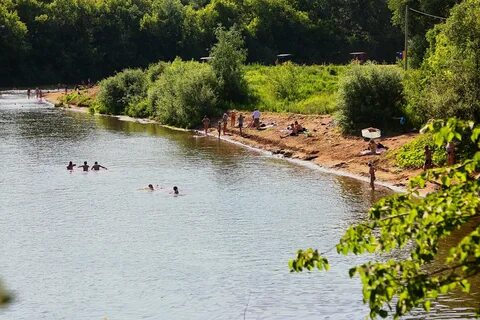 Кинель отрадный