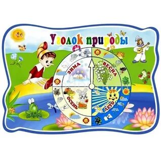 Картинки для детей уголок природы