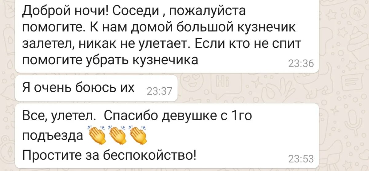 Чат соседей. Чат соседей прикол. Чат соседей по дому. Чат жильцов дома приколы. Соседи будьте добрее