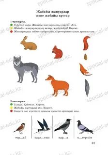 Әйелді ояту үшін еркектің жыныс мүшесіндегі бөгде денелер (секс видео)