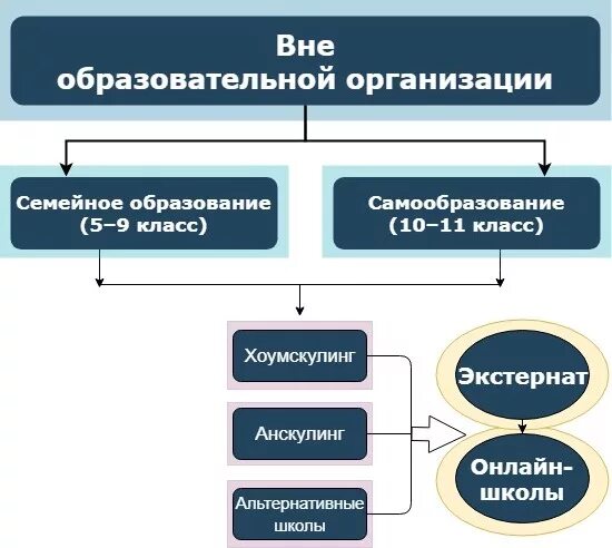 Чем отличается самообразование от обучения в школе. Самообразование на семейном обучении это. формы обучения семейного образования. обучение в форме семейного образования и самообразования. семейное образование и самообразование в чем разница.