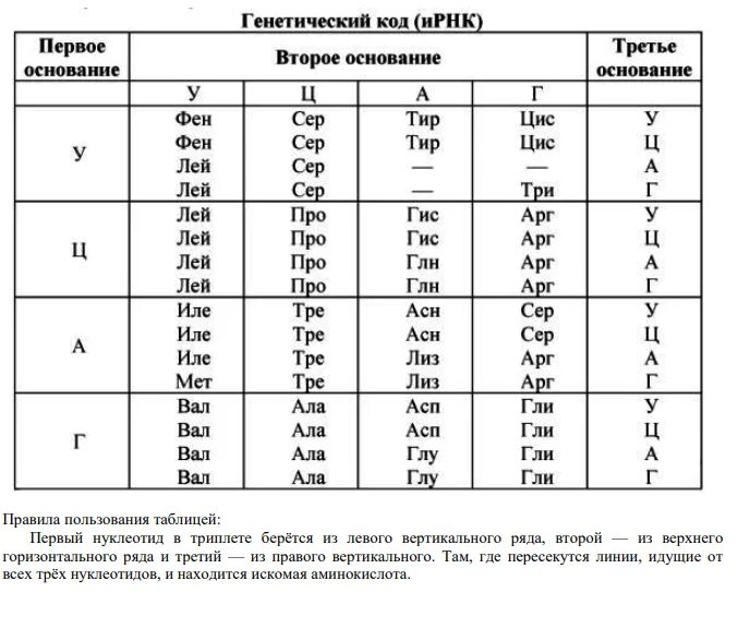 Генетический код ИРНК таблица. Аминокислоты таблица генетического кода. Таблица генетического кода ДНК. Таблица генетического кода по биологии.