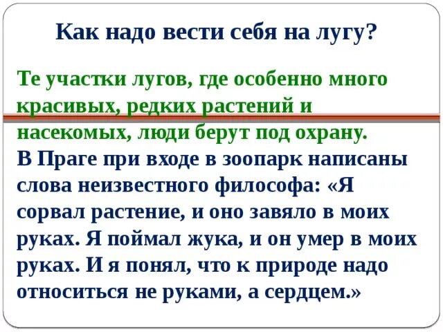 Памятка как надо вести себя на лугу. Как вести на лугу памятка. Правило поведения на лугу. Правила поведения на лугу. Памятка как вести себя в лесу на отдыхе.