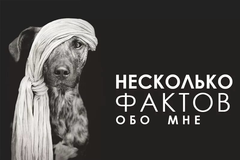 сообщество факт