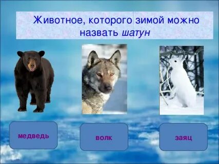 Как называют зверя которого