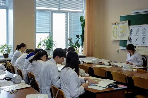 Фарм академия