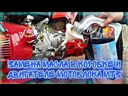 Какое масло заливать в двигатель мотоблока мтз