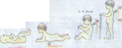 Волчковамен порно