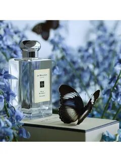 Jo malone wild bluebell
