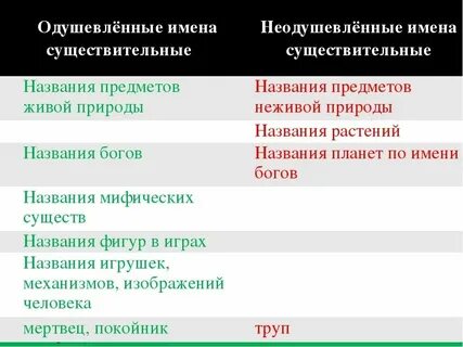 5 неодушевленных