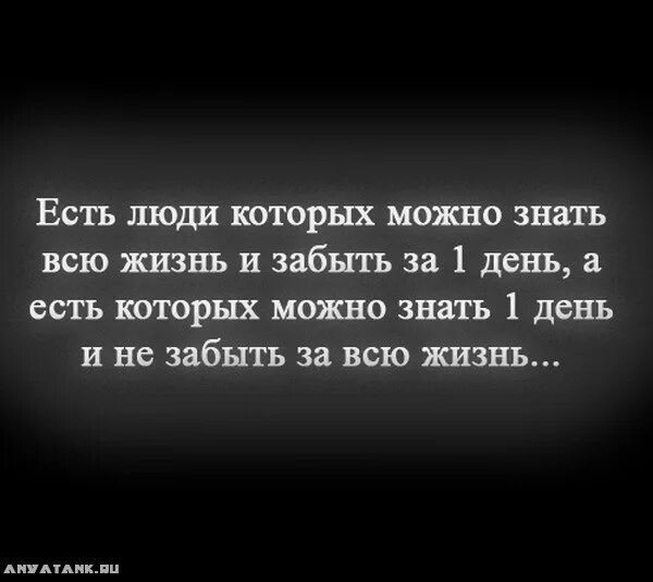 Цитаты про жизнь смыслом до слез. Цитаты со смыслом о жизни до слез. цитаты про жизнь до слёз. цитаты со смыслом до слез. жизненные цитаты со смыслом грустные.