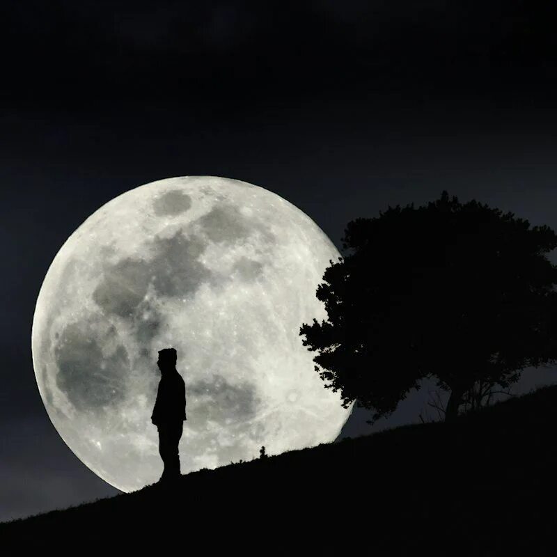 Луна рассталась. Луна одиночество. Одиночество в ночи. Под луной. Парень под луной.