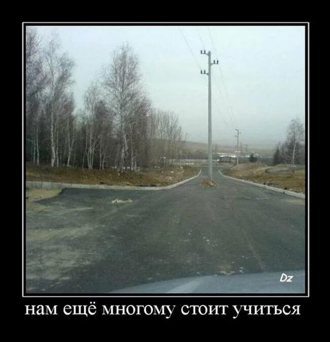 Многого стоишь