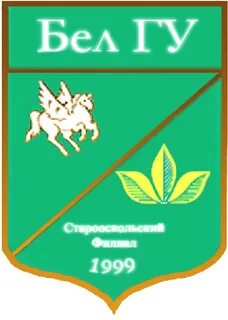 Сайт соф