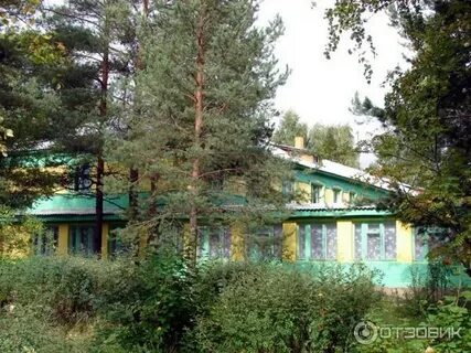 Сосновка архангельская