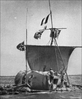 История тиков