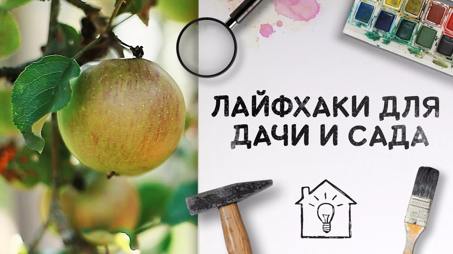 Хитрости для сада и огорода. Лайфхаки рисования для детей. Лайфхаки маи. Лайфхаки маи. Лайфхаки маи.