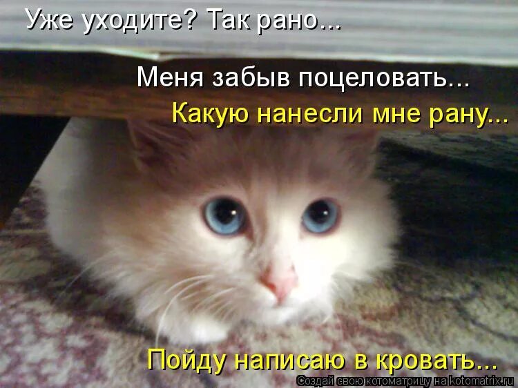 может ненадо мем. не надо уходить пожалуйста. не надо уходить пожалуйста. вика не уходи. пожалуйста не уходи.