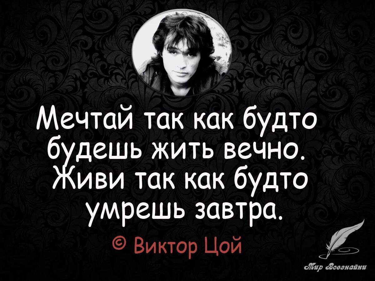 Виктор цой портрет 1990. Живи как будто завтра ганди. Мечтай так будто будешь жить вечно. Как будто будешь жить вечно. Люди живут так как будто будут жить вечно.
