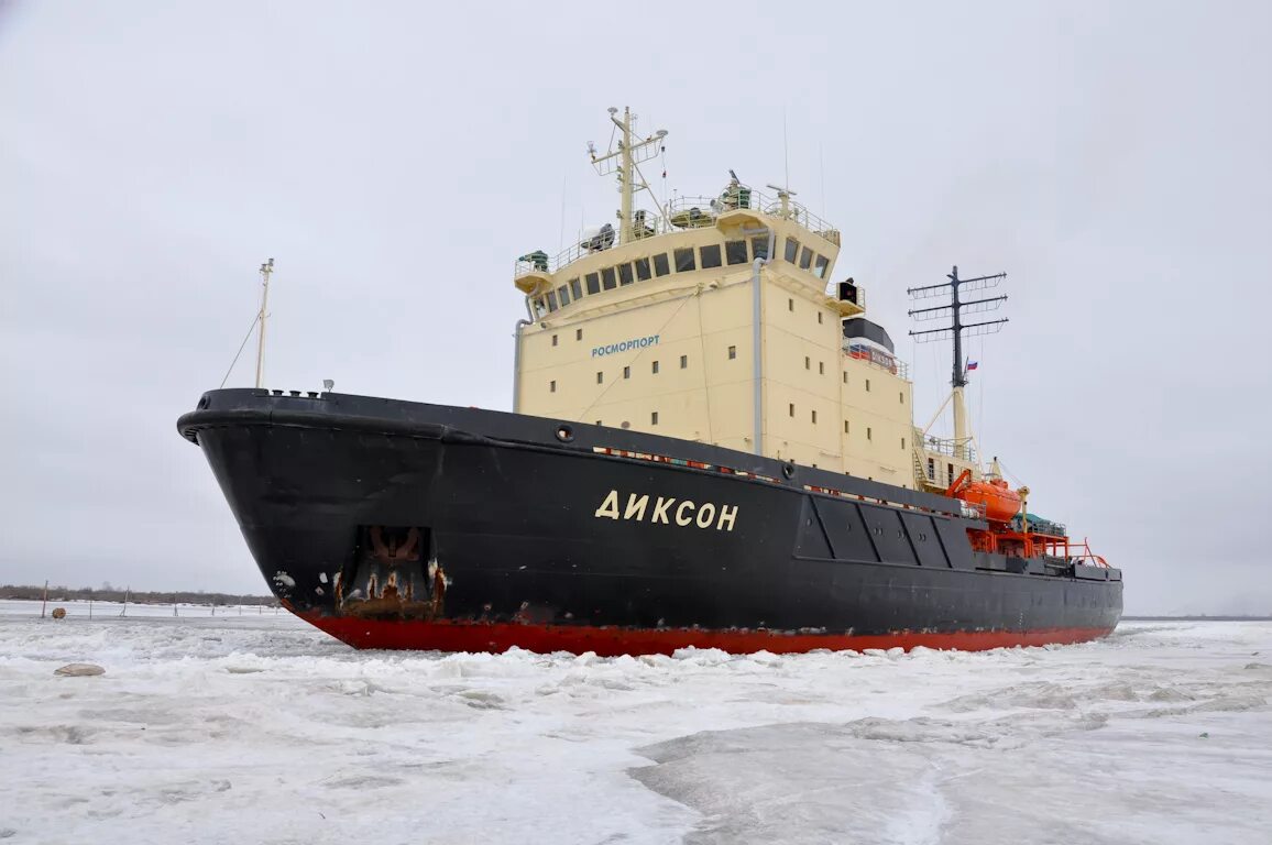 ледоколы капитаны звери. ледокол капитан хлебников. капитан драницын ледокол. ледокол плахин. ледокол капитан сорокин.