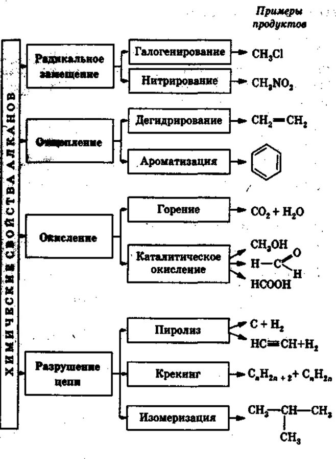 Алканы получают реакцией. Химические свойства алкенов схема. Химические свойства алкенов реакции. Химические свойства алканов и алкенов. Дегидрирование алканов механизм реакции.