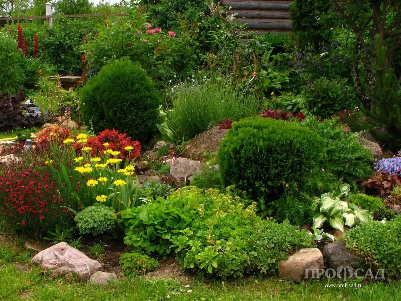 Проф сады. Глеб успенский санкт-петербург японский сад. Сад елены клоницкой. Замечательные сады профсад. Проф сады.
