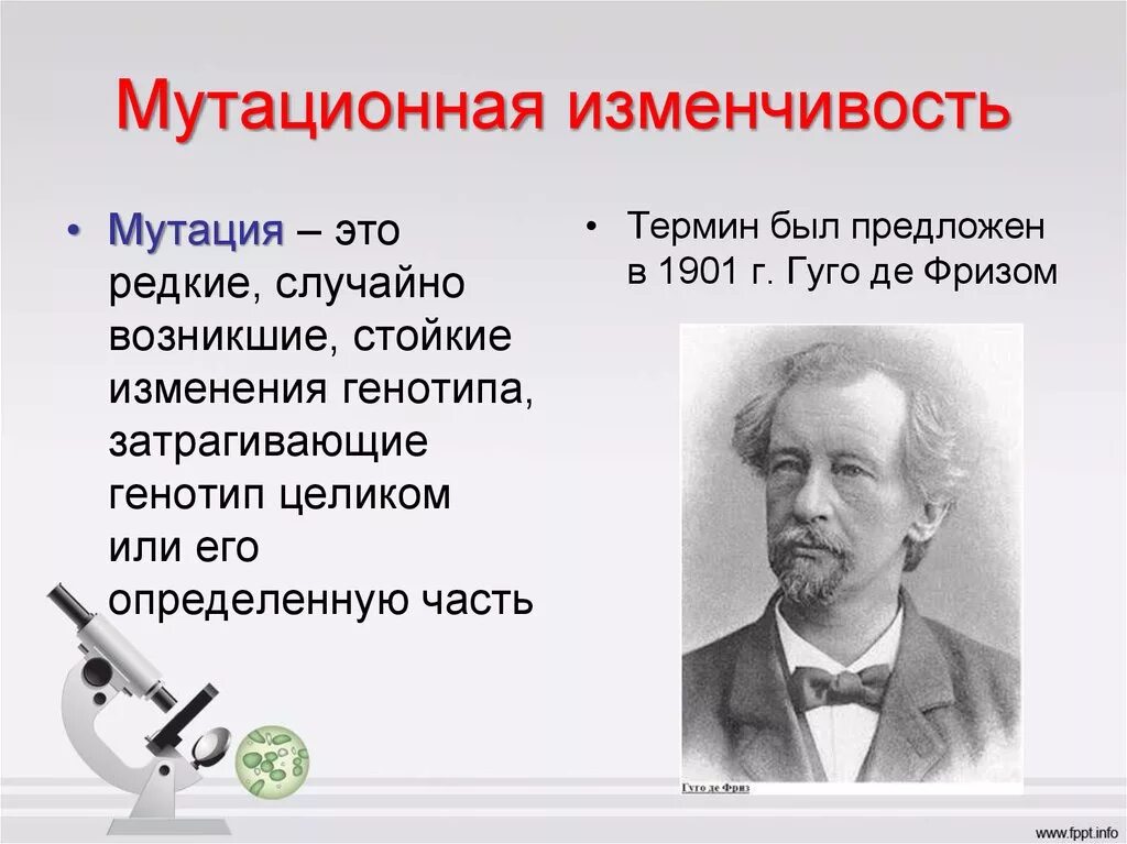 Мутационные изменения возникают. Мутационная изменчивость. Мутационная изменчивость (мутации). Мутационная изменчивость изменчивость. Мутационная изменчивость кратко.