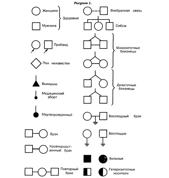 Условные обозначения генетики. Генеалогическое Древо обозначения генетика. Основная схема генеалогического метода. Родословная обозначения в генетике. Генетика условные обозначения.