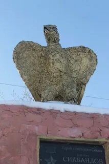 Волгоградская область камышинский районный
