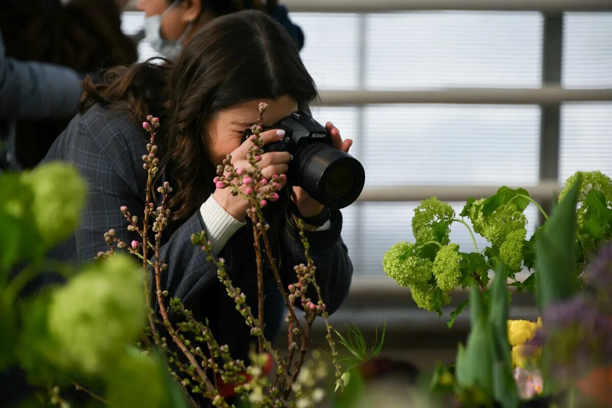 Выставка тюльпанов в аптекарском огороде 2023. Ботанический сад аптекарский огород тюльпаны. Тюльпаны в аптекарском огороде 2022. Тюльпаны в аптекарском огороде 2022. Выставка тюльпанов в аптекарском огороде 2024.