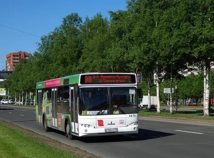 75 автобус спб