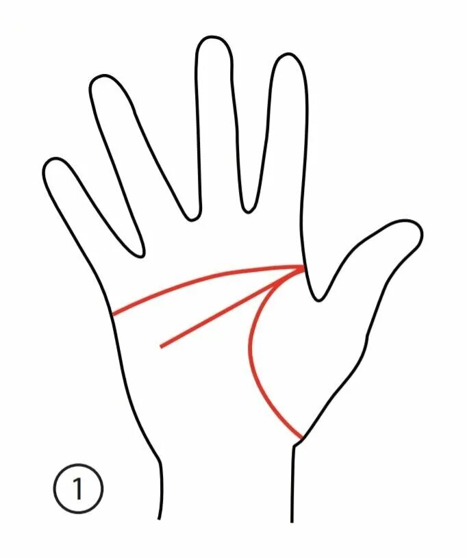 Хиромант линии. Хиромантия, 2 линии сердца. Линия сердца линия ума хиромантия. Хиромантия линия головы. Линия головы и сердца.