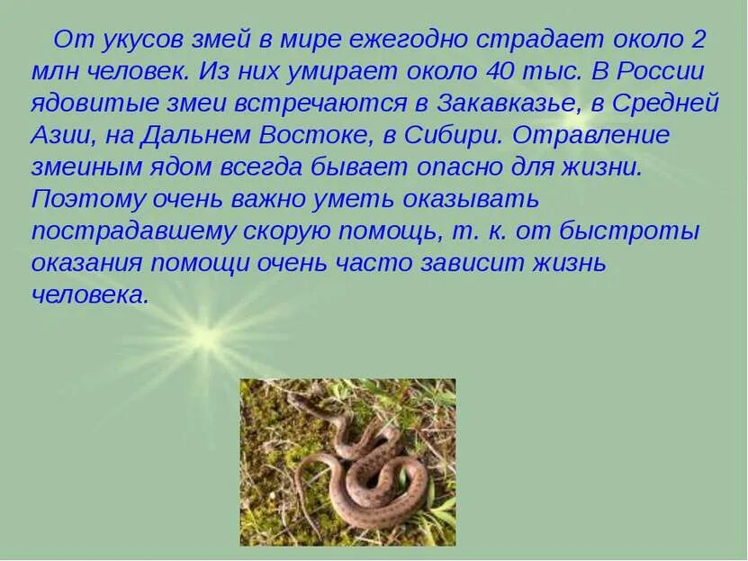 Укусы ядовитых и неядовитых змей. Памятка укус ядовитой змеи. Памятка при укусе змеи гадюки. Укус змеи чем опасен для человека. Оказание первой помощи при укусе змеи.