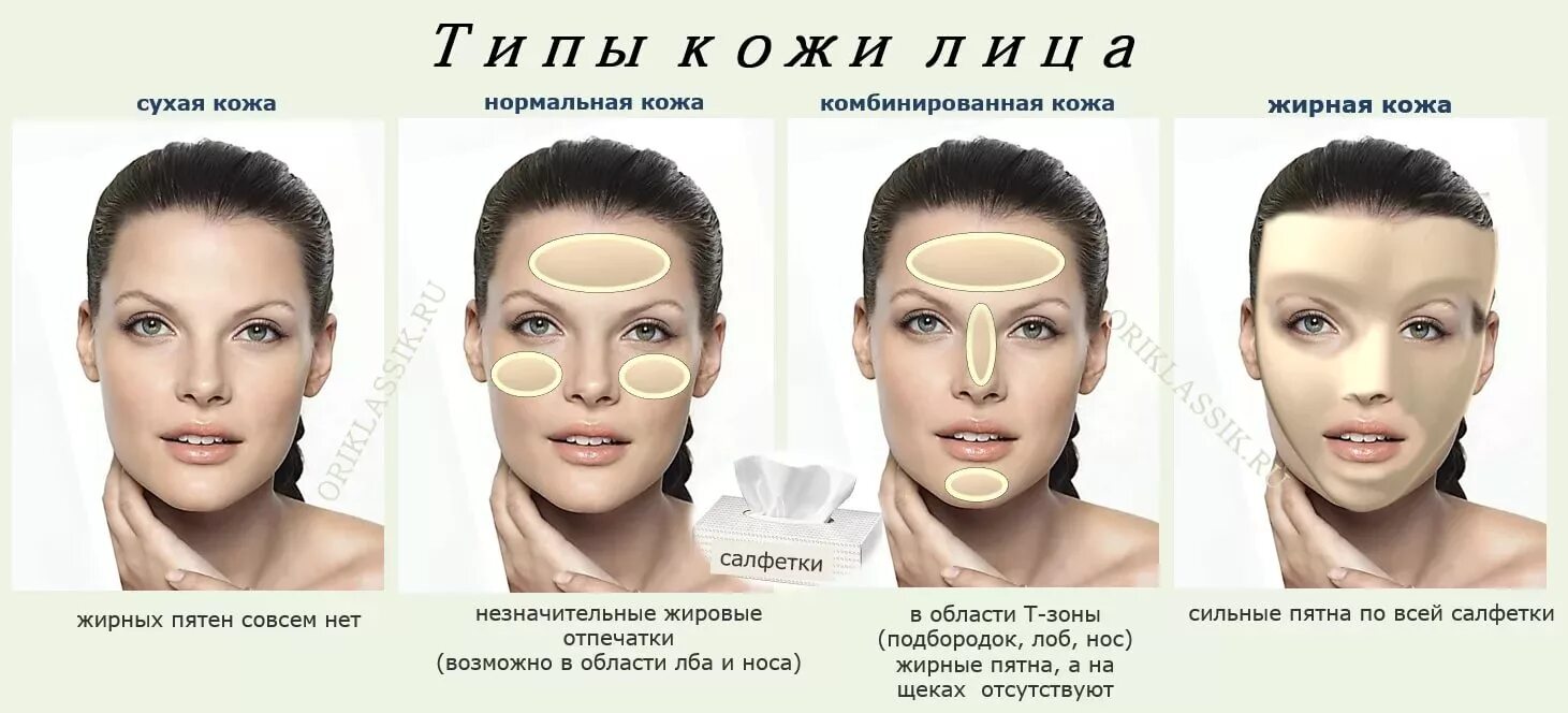 Типы кожи лица. Определить Тип кожи. Нормальная и комбинированная кожа. Жирнится лоб